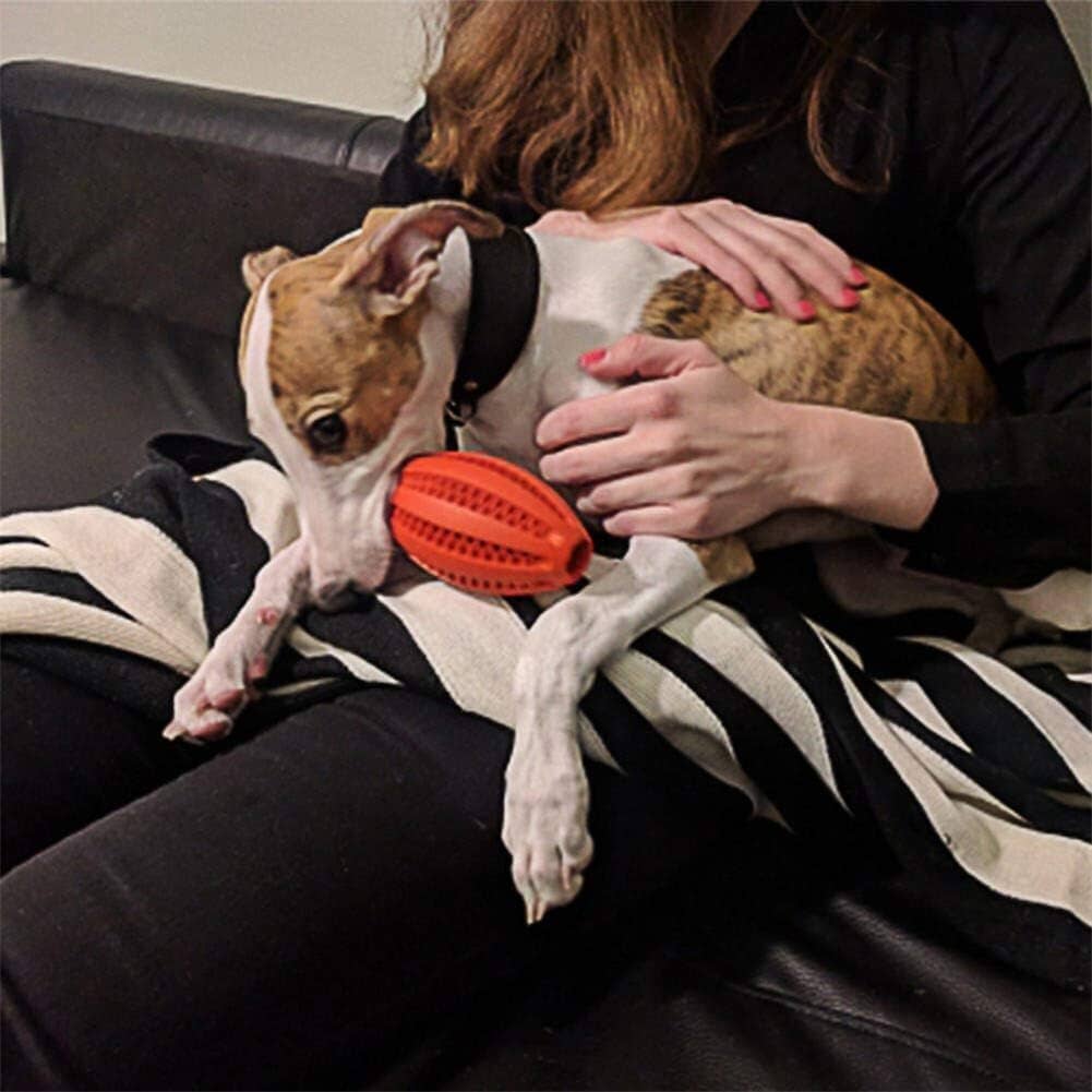 Jouet Interactif pour Chien - ChewBounceBall™ - Rouge